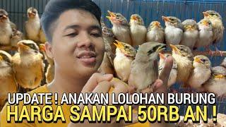 PASAR BURUNG ! ANAKAN HARGA SAMPAI 50RB PER EKOR MENJELANG MUDIK LEBARAN PASAR BURUNG PRAMUKA