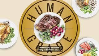 What it Means to be Human Grade Pet Food (In 1 Minute)