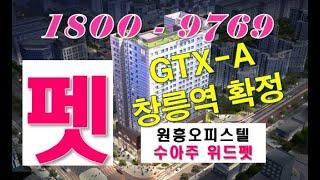 창릉신도시gtx-A역 확정, 원흥 펫 오피스텔 인기 반려동물 특화설계 '수아주 위드펫'