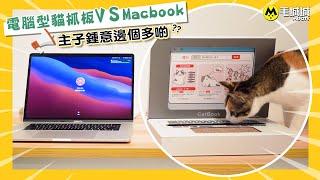 【毛城城開箱】電腦型貓抓板VS Macbook 主子鍾意邊個多啲？｜毛城城 MoCity