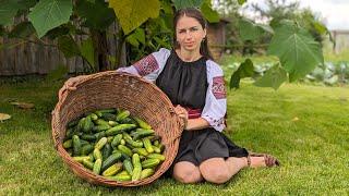 Woman is cooking traditional fermented cucumbers and cold borscht. Harvesting cucumbers in village