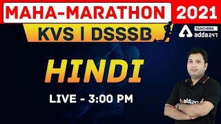 KVS & DSSSB MAHA-MARATHON | HINDI MARATHON CLASS FOR KVS DSSSB #HINDI