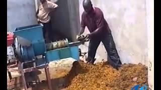 Small palm oil expeller/palm oil press machine running video