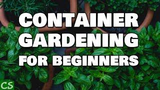 Container Gardening Vegetables for Beginners