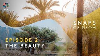 Snaps of NEOM | Capturing Beauty