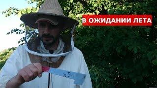 СИБИРСКИЙ ПЧЕЛОБЛОГ 30 ИЮНЯ