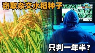 间谍窃取杂交水稻亲本种子，出售到国外获利，为何只判了一年半？