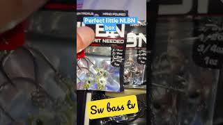 NLBN bait box my little tackle box for paddle tails 3 inch baits inshore tackle for snook trout reds