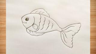 How to draw fish drawing easy step by step@DrawingTalent
