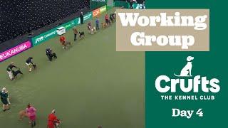 Working Group | ​Crufts 2025