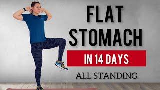 FLAT STOMACH in 14 Days / Belly Fat Burn / SLIM WAIST & FLAT BELLY WORKOUT/ALL STANDING /NON STOP