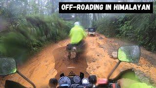 Off-roading in Royal Enfield Himalayan | Zeno Village, Wayanad