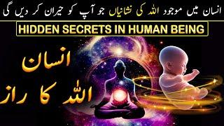 Insan Allah Ka Raaz Hai | Why We Came Here? | Secrets of Allah | ILM UL ISRAR