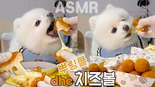 ASMR MUKBANG 뿌링뿌링 겉바속촉 강아지용 뿌링클 치즈볼 먹방 ~!! DHC KOREAN FRIED CHEESE BALL FOR DOGS EATING SOUNDS