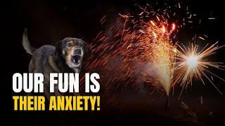 How to make Diwali stress-free for the pet dogs ? | Dr. Niranjan Sahoo | Prameya English