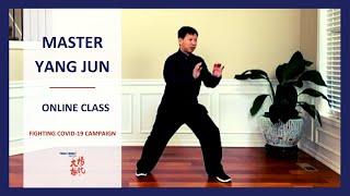 Master Yang Jun Online Class - Understanding the Ten Essentials