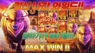 [슬롯][월드슬롯] 버팔로킹 메가웨이 맥스윈(시청자 제보) Buffalo King Megaways™ MAX WIN [프라그마틱][슬롯리뷰][HD]