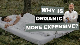 Why Organic Mattresses Are Worth the Expense & How to Buy the Best Organic Mattress with Jack