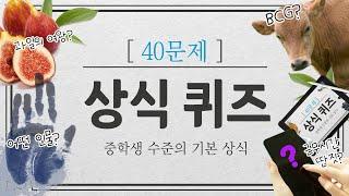 상식퀴즈 절반 이상 맞히기 도전! (39) #문과언니 #상식 #퀴즈