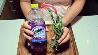 Le coloqué Romero al Limpia piso, y ahora hasta  mis vecinas quieren la receta