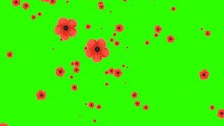 Flowers Falling #1 / Green Screen - Chroma Key