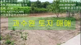 과수원 토지 급매/복숭아밭 매매/옥천군 이원면 윤정리