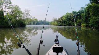 Kayak Carp Fishing the Tennessee River