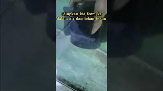 Cara pasang bio foam dengan aerator #Biofoam #aerator #channa