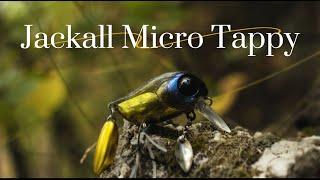 Jackall Micro Tappy! Смотрим, что за монстр