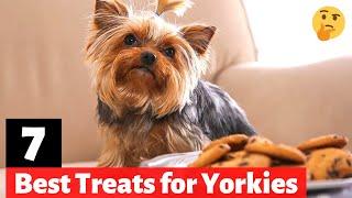 7 Best Dog Treats for Yorkies