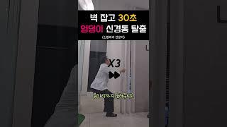 벽잡고 30초 엉덩이 신경통 탈출! 신경외과전문의 추천 운동 #레그웰의원
