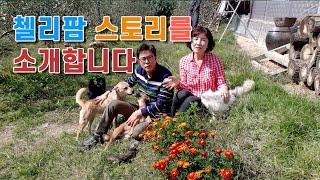 안녕하세요 첼리팜 스토리를 소개합니다 자주 들러주세요