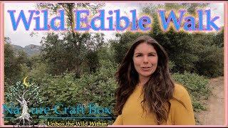 9 Easily Identifiable Wild Edibles and Medicinals Near You ~ Roadside Remedies