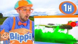 Will It Sink or Float? | BEST OF BLIPPI TOYS | Educational Videos for Kids