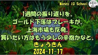 2024-11-17　きょうきんGT - Gold Today 日々の金価格を一望できるチャンネル！ (019 Salut Dor)