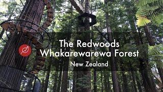 The Redwoods, Whakarewarewa Forest - New Zealand North Island Nature Hike - 2019