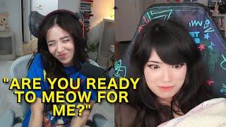 Pokimane's Discord Kitten Emiru