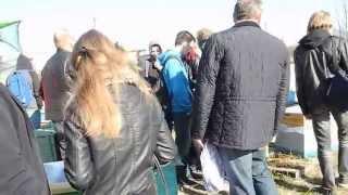 Пчеловодство для начинающих фильм 4.