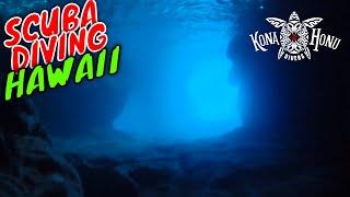 Kona Scuba Diving & Critter Hunting with Kona Honu Divers