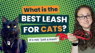 What is the Best Leash for Cats?