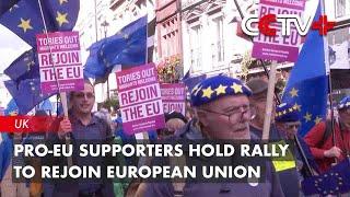 Pro-EU Supporters Hold Rally to Rejoin European Union