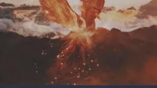 Omid Rajabi - The Rise of The Phoenix