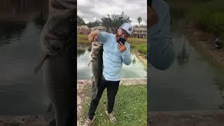 Bro lady was tripping we just fishing! #fishing #bassfishing #florida