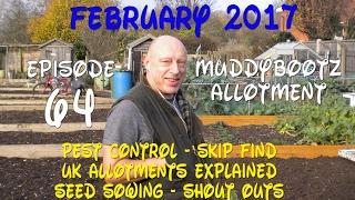 MuddyBootz Allotment #64 - Rats - UK Allotments - Leek sowing - Skip Find - Shout Outs