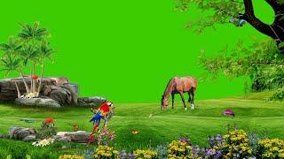 Green screen nature background | green background video | nature video background no copyright