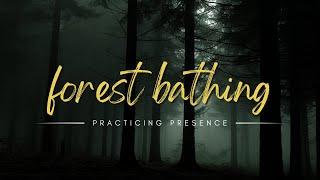 Forest Bathing Meditation