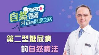 《第二型糖尿病的自然療法》「自然GOOD醫 阿宙來開港」(B22)