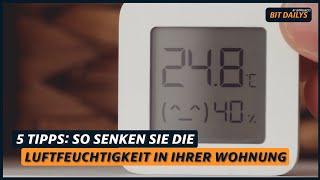 5 Tipps: So senken sie die Luftfeuchtigkeit in ihrer Wohnung