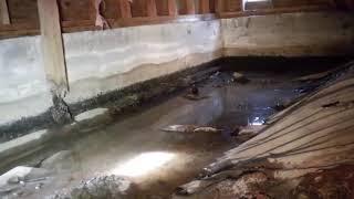 Seattle Home Inspector | Pre Listing Inspection Is A Must | (425) 985-3289 | Call Us!