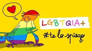 CHE COSA SIGNIFICA LA SIGLA LGBT(QIA+) | #TELOSPIEGO